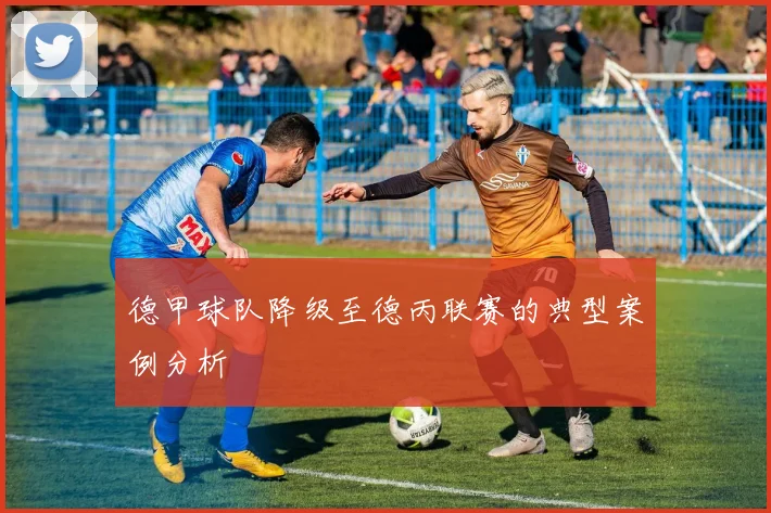 德甲球队降级至德丙联赛的典型案例分析