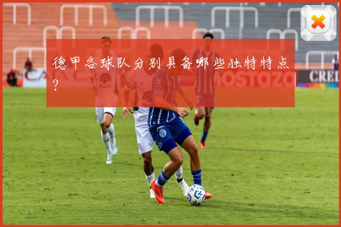 德甲各球队分别具备哪些独特特点？