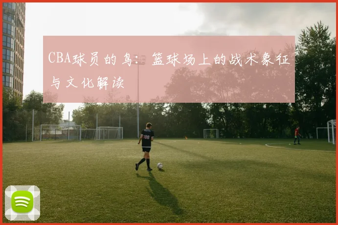 CBA球员的鸟:篮球场上的战术象征与文化解读