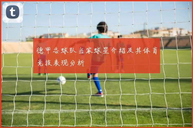 德甲各球队当家球星介绍及其体育竞技表现分析