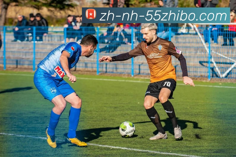 55直播平台生态图