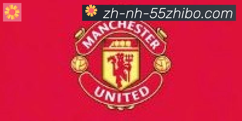55直播合作伙伴